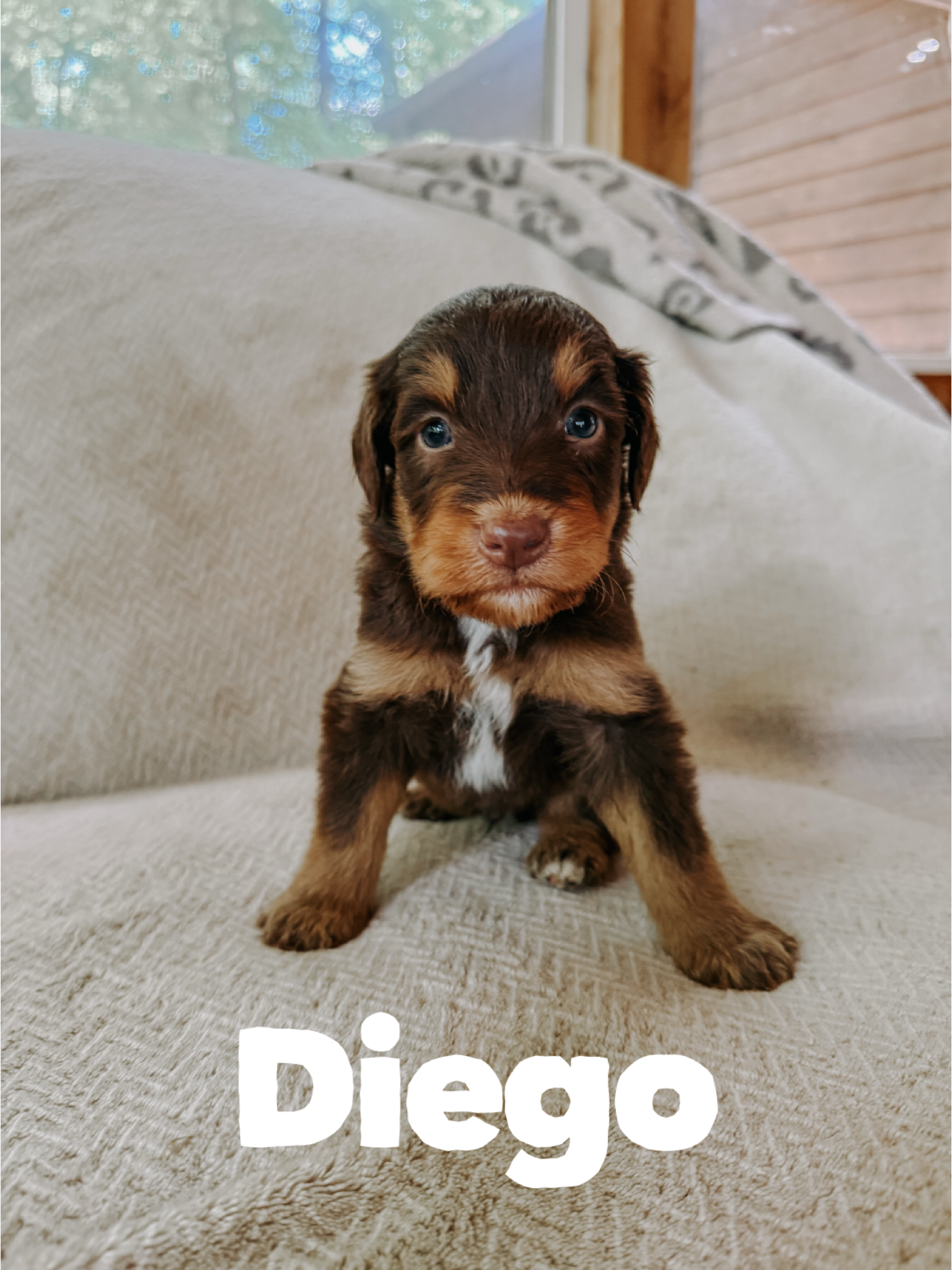 Diego  1